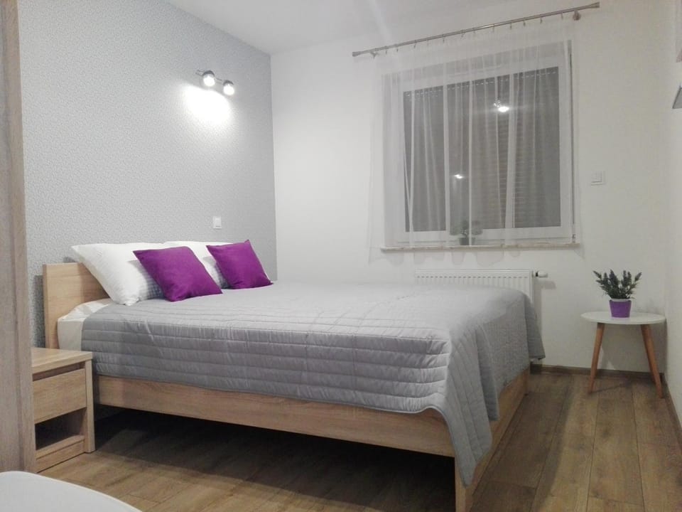 Apartament Marzenie 5 - Opole Apartment in Czechia