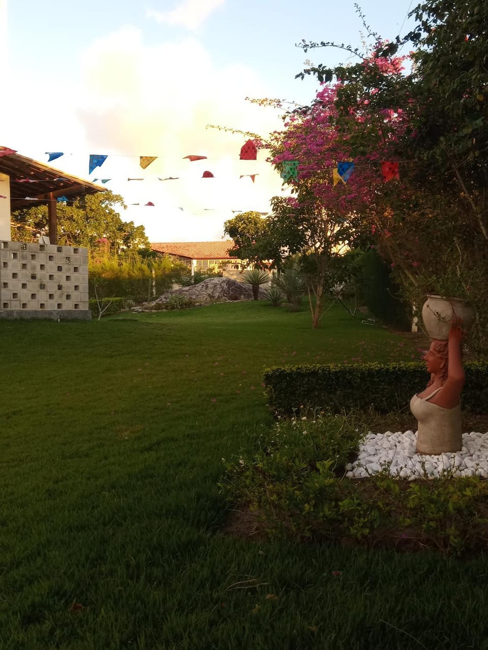 Garden view
