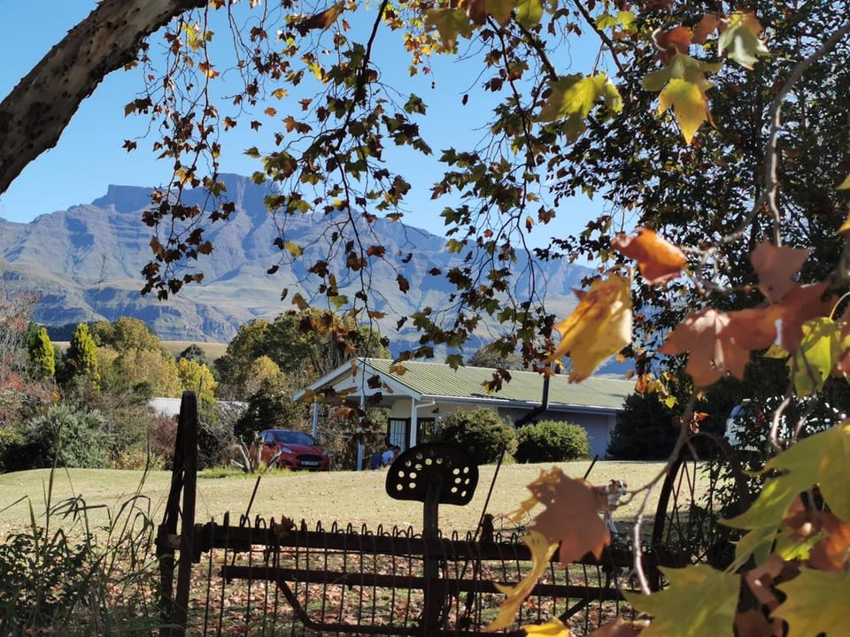 Garden view