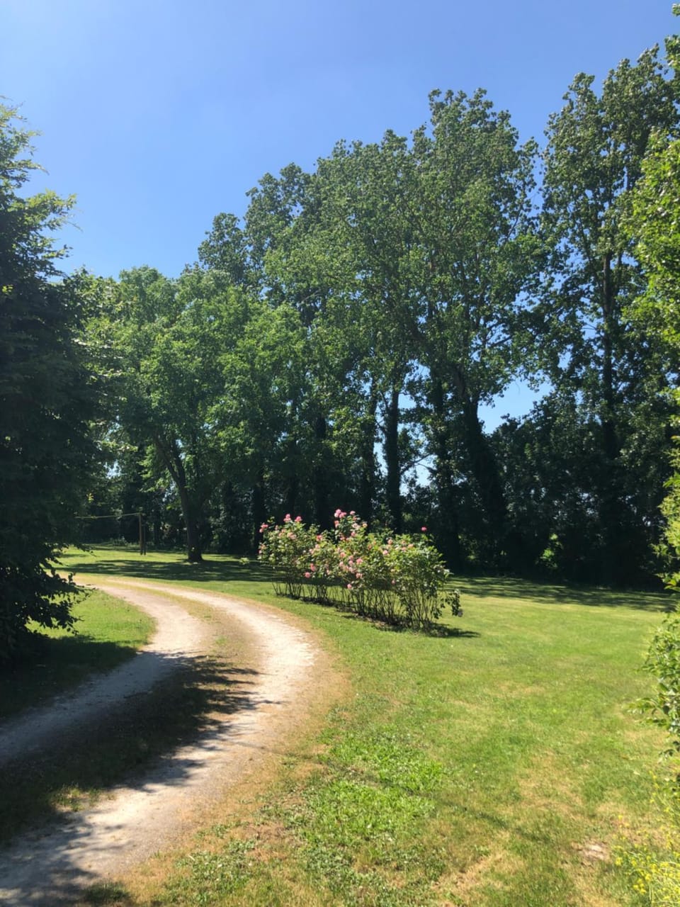 Day, Natural landscape, Garden, Garden, Garden view