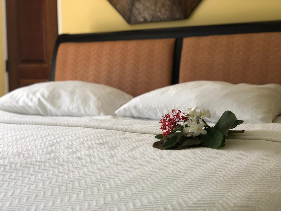 The Comanche A Club Inn of Christianted St Croix Hotel in Christiansted