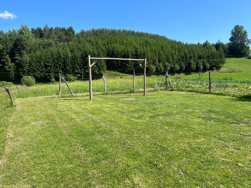 Agroturystyka Radzewicz Campground/ 
RV Resort in Kaliningrad Oblast, Russia