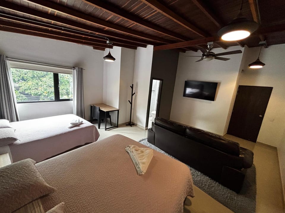 Bed, Bathroom, TV and multimedia