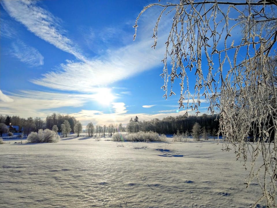 Day, Natural landscape, Winter