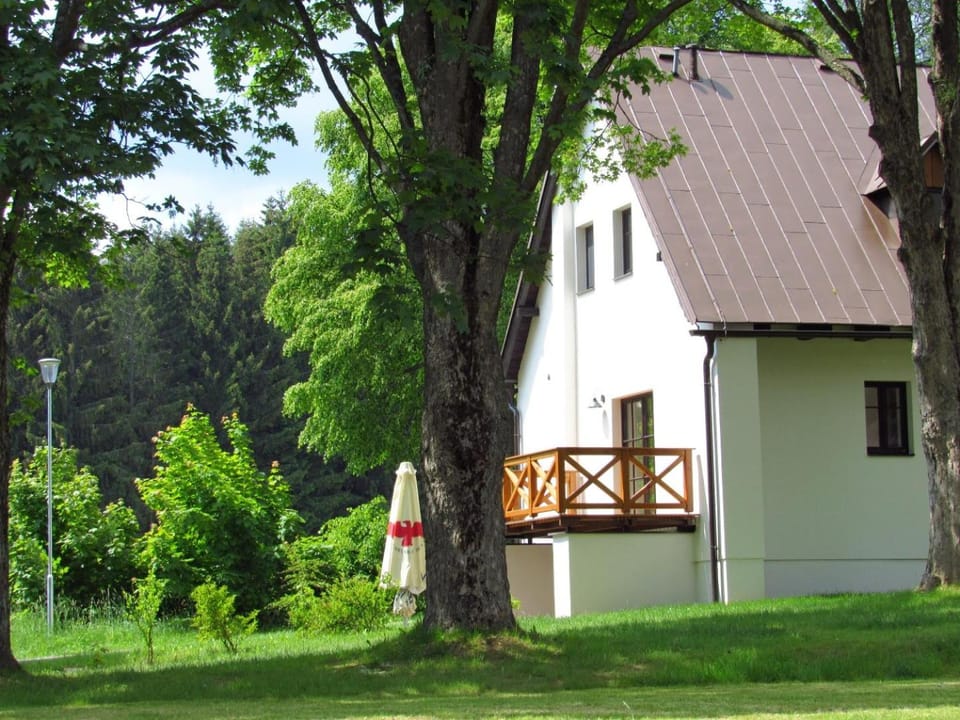 Spring, Garden, Garden view