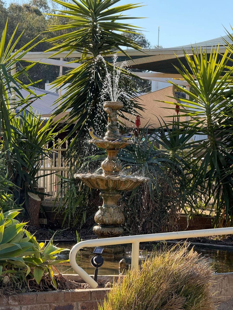 Garden view