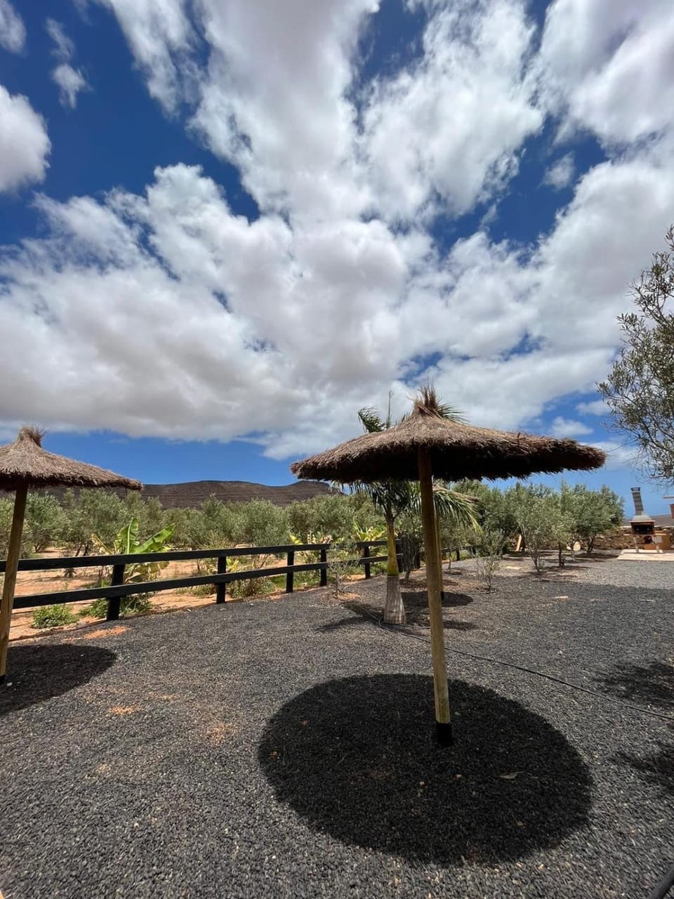 El Olivar Experiences - Adults Recommended Apartment in Maxorata