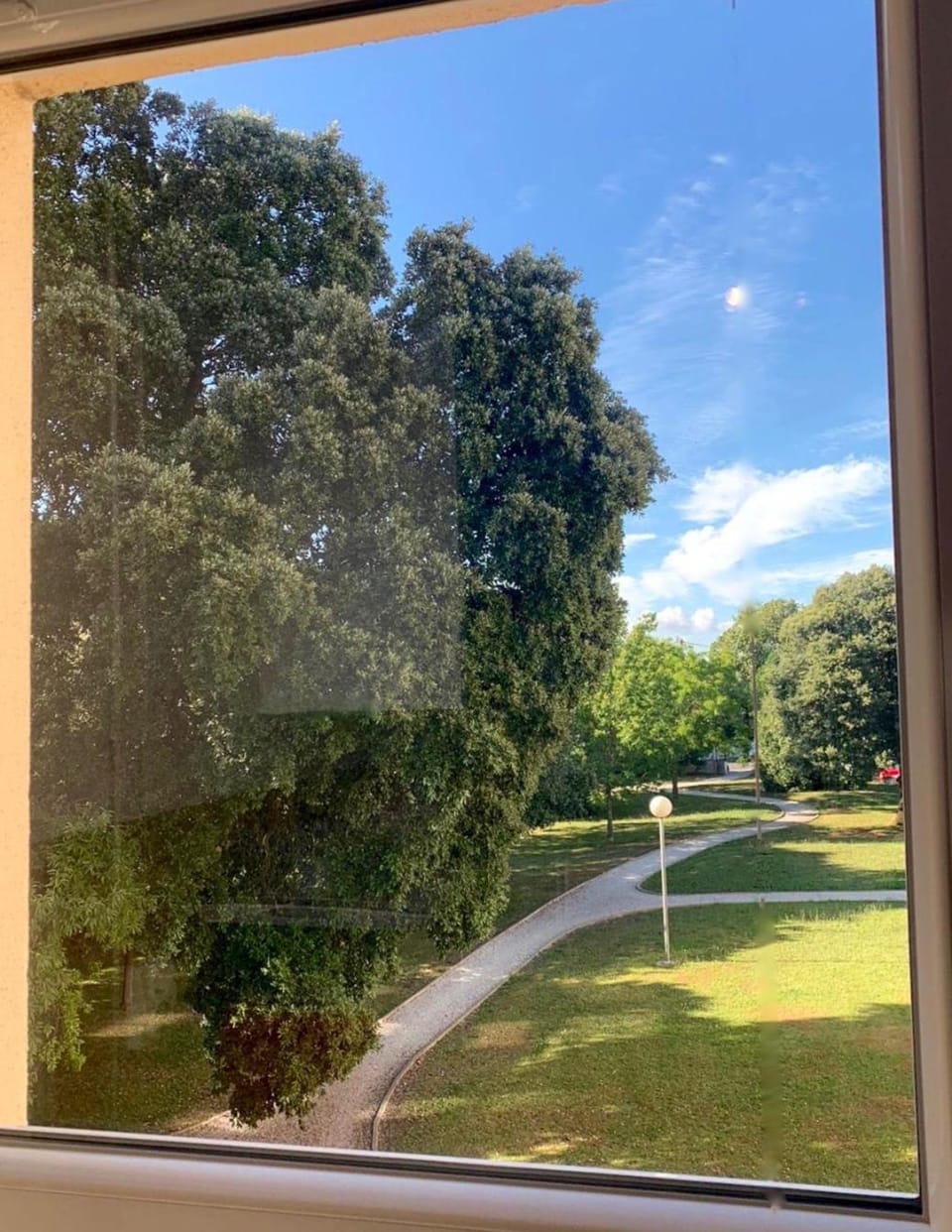 Garden view