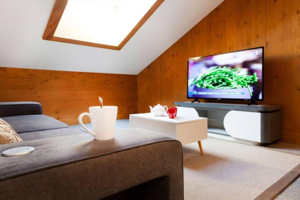 TV and multimedia