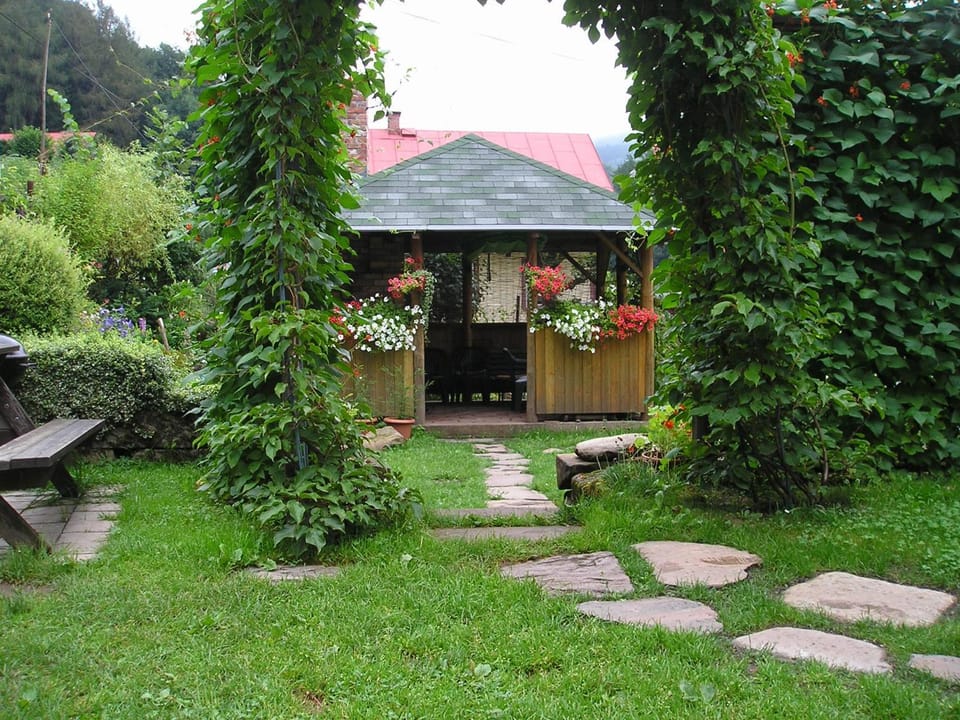 Apartman Svoboda Apartment in Lower Silesian Voivodeship