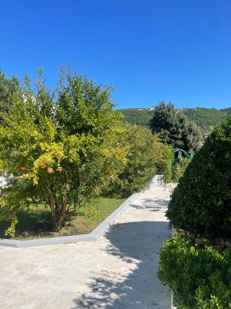 Garden view, Garden view