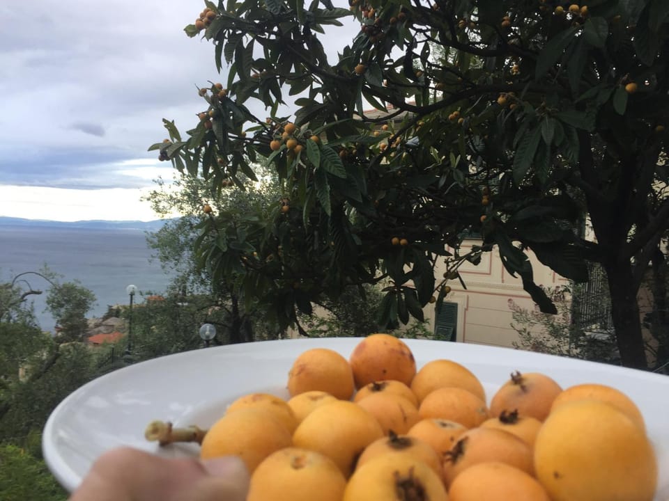 Property building, Spring, Food close-up, Food close-up, Garden, Garden, Food and drinks, Food, Garden view, Garden view, Sea view, Meals, Italian breakfast, Sunrise