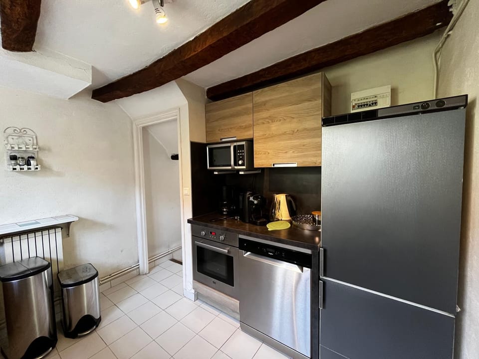 Kitchen or kitchenette, dishwasher, minibar, pet friendly, stove