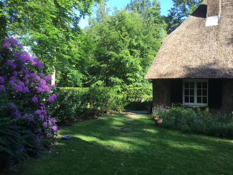 Landgoedhoeve Vosbergen Bed and Breakfast in Overijssel (province)