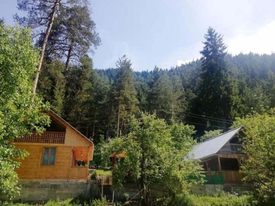 Guest House Ilia Nature lodge in Georgia