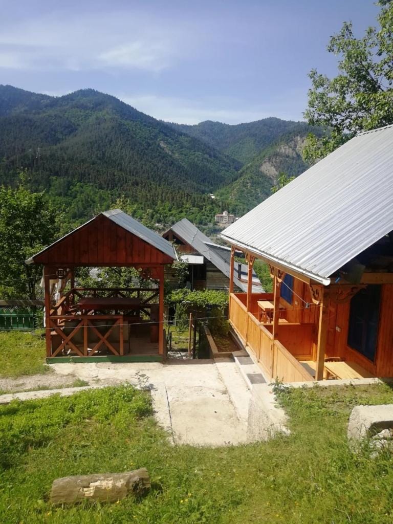 Guest House Ilia Nature lodge in Georgia