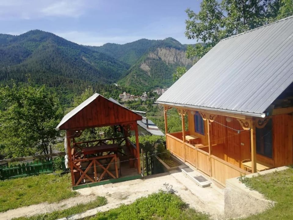 Guest House Ilia Nature lodge in Georgia