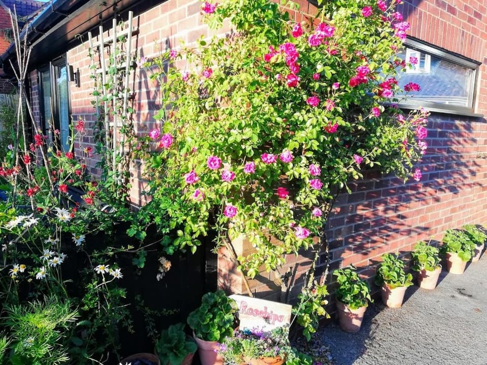 Facade/entrance, Garden