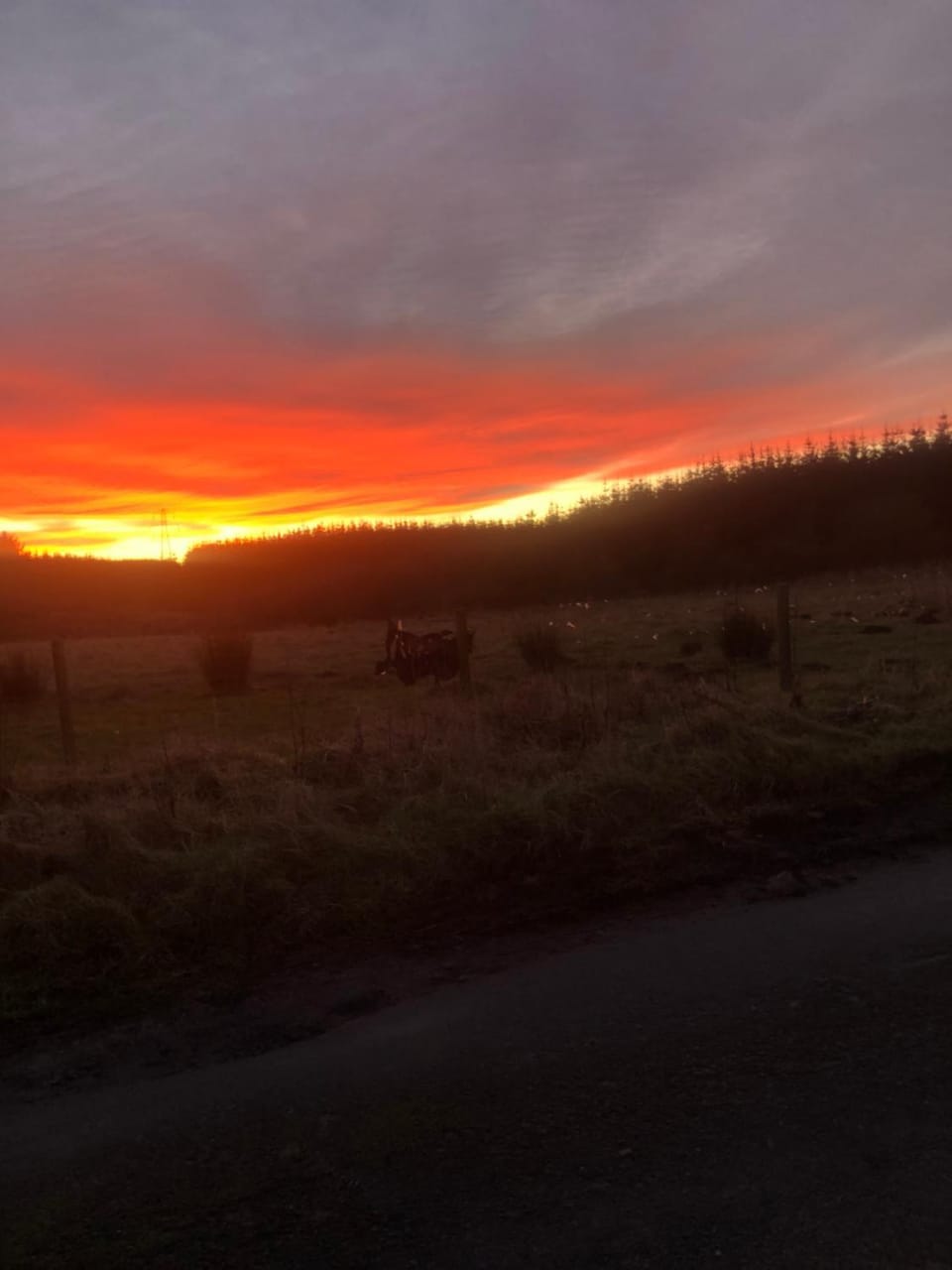 Browns Bed and Breakfast in Scotland