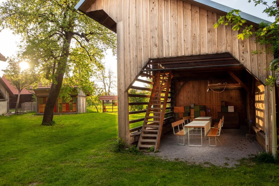 Beekeeping Kojek Apartment in Slovenia