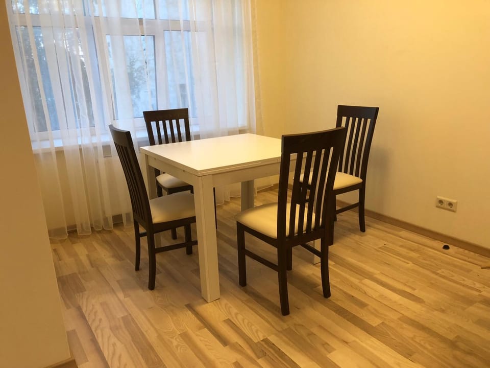 Riverside Embassy apartment 2. Spacious/free parking Apartment in Riga
