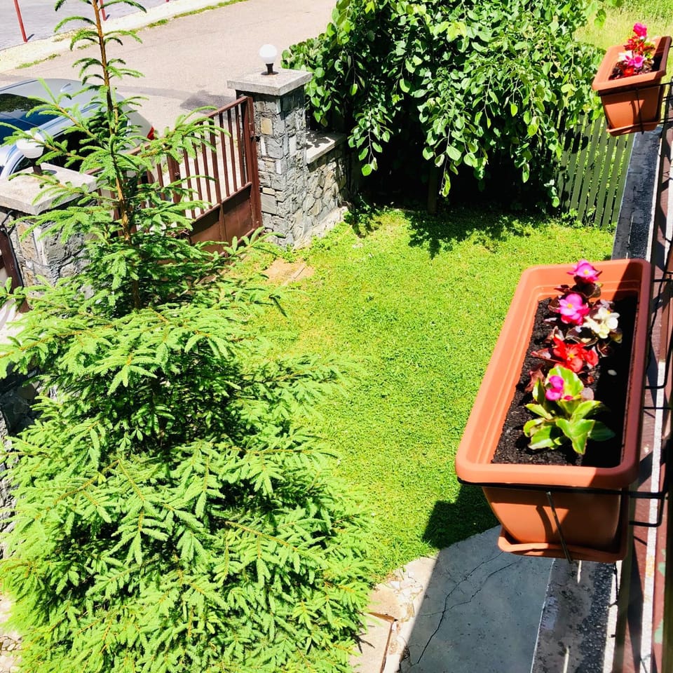 Garden, Garden view