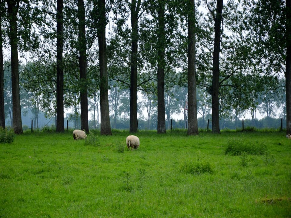 Neighbourhood