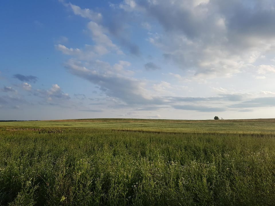 BIO Farma & Penzión Zlatý Hýľ Bed and Breakfast in Slovakia