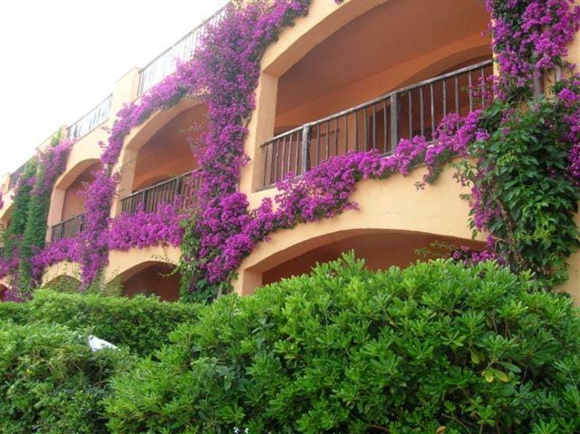 Inter-Résidences Costa Smeralda Apartment hotel in Sardinia