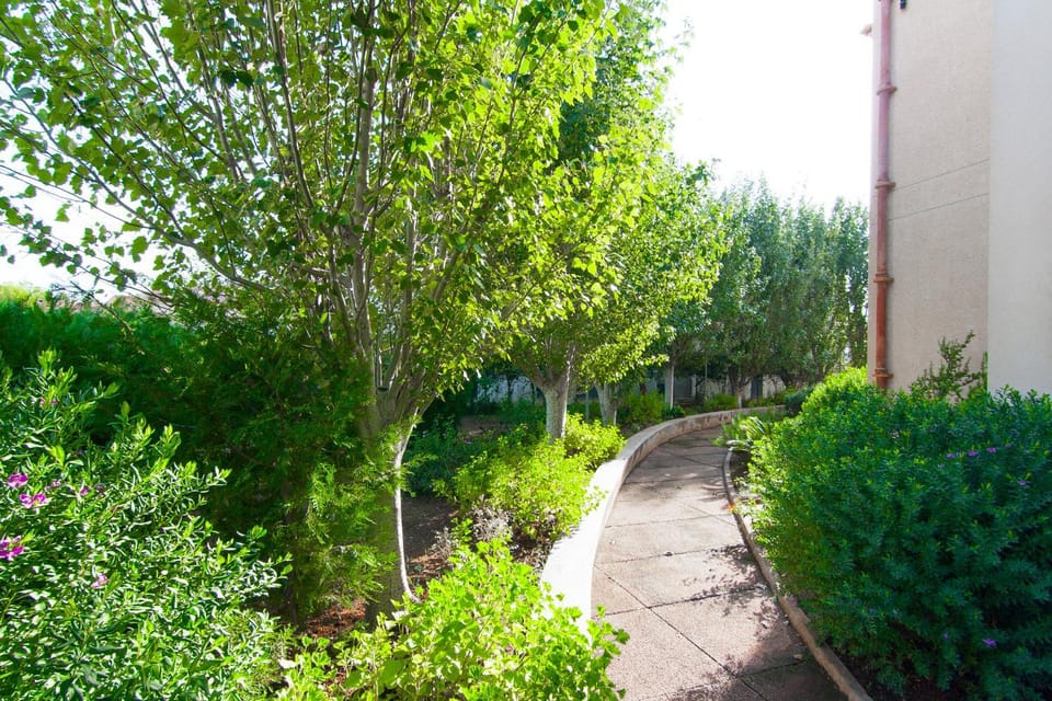 Codonyer B Apartment in Raiguer