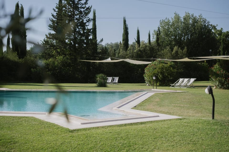 Day, Natural landscape, Garden, Garden view, Pool view, Swimming pool, sunbed