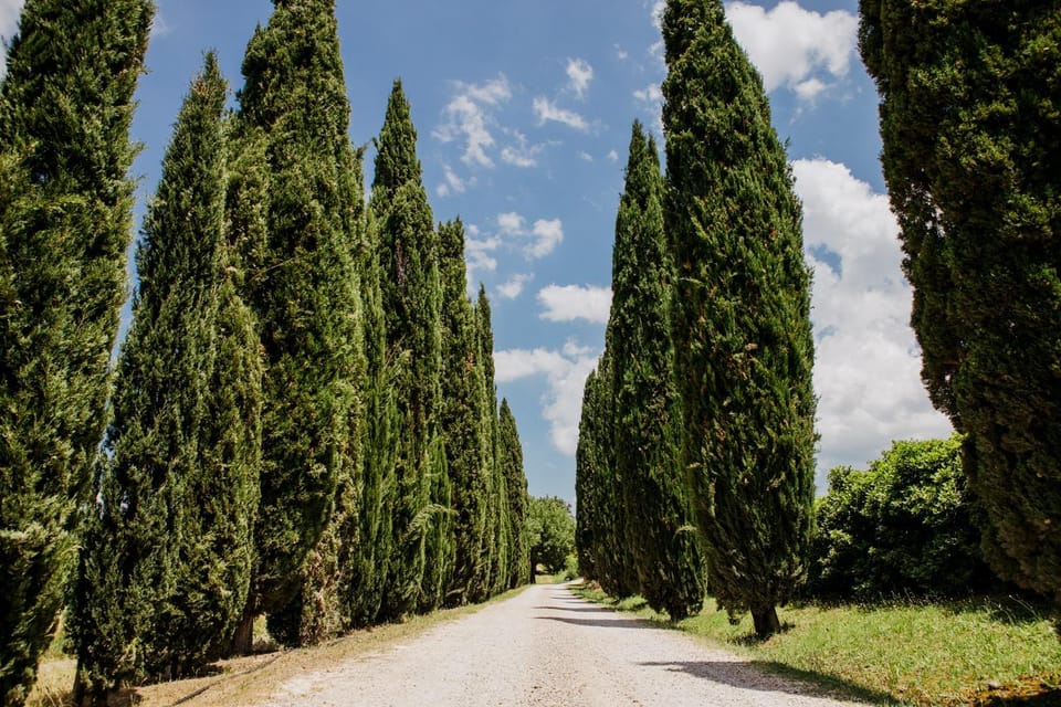 Natural landscape, Quiet street view