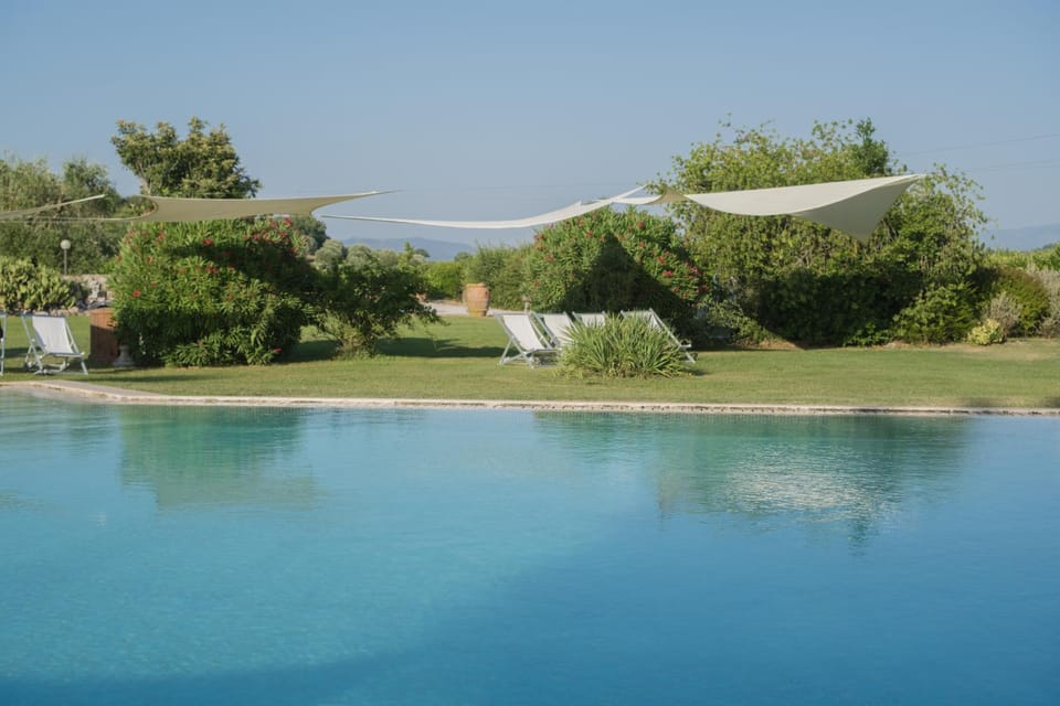 Day, Natural landscape, Garden, Pool view, Swimming pool, Swimming pool