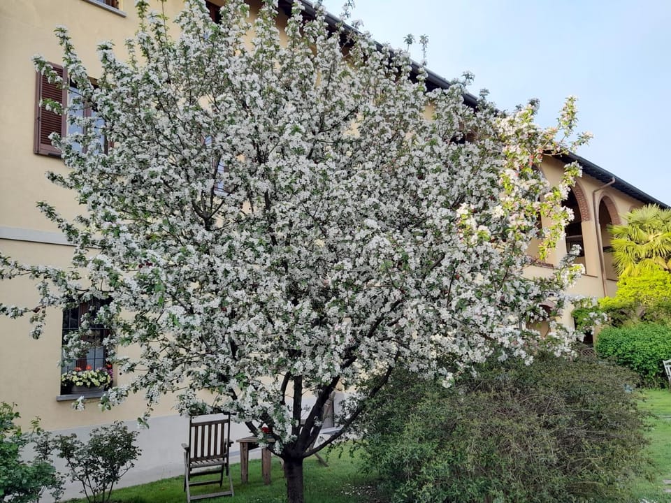 Property building, Spring