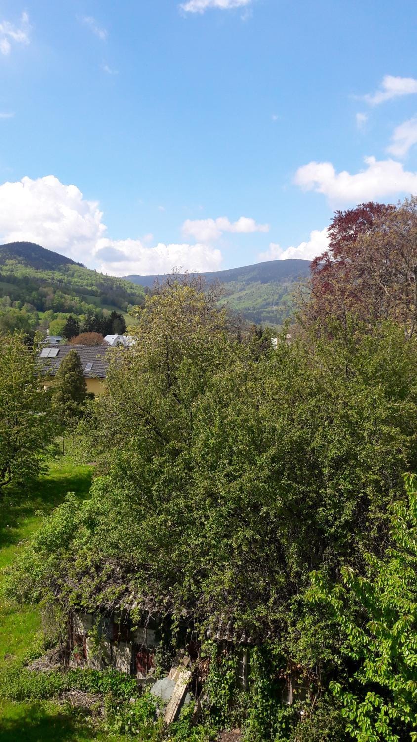 View (from property/room), Mountain view