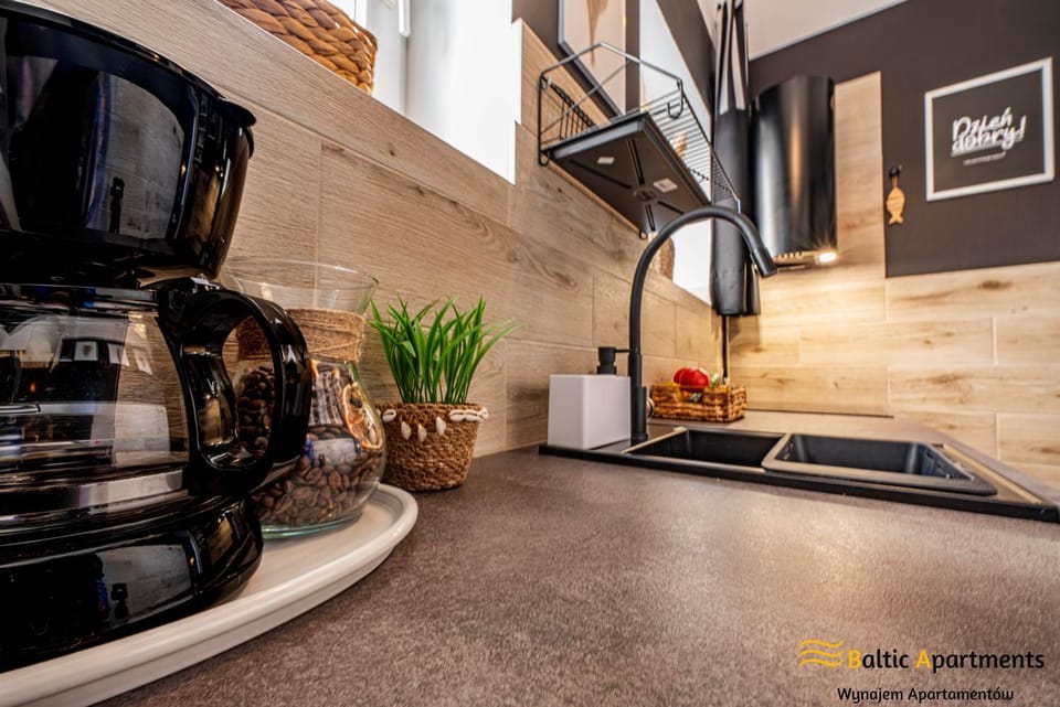 Kitchen or kitchenette, dishwasher, stove