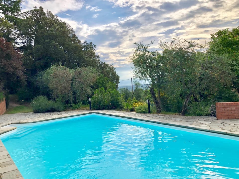 Swimming pool, Swimming pool