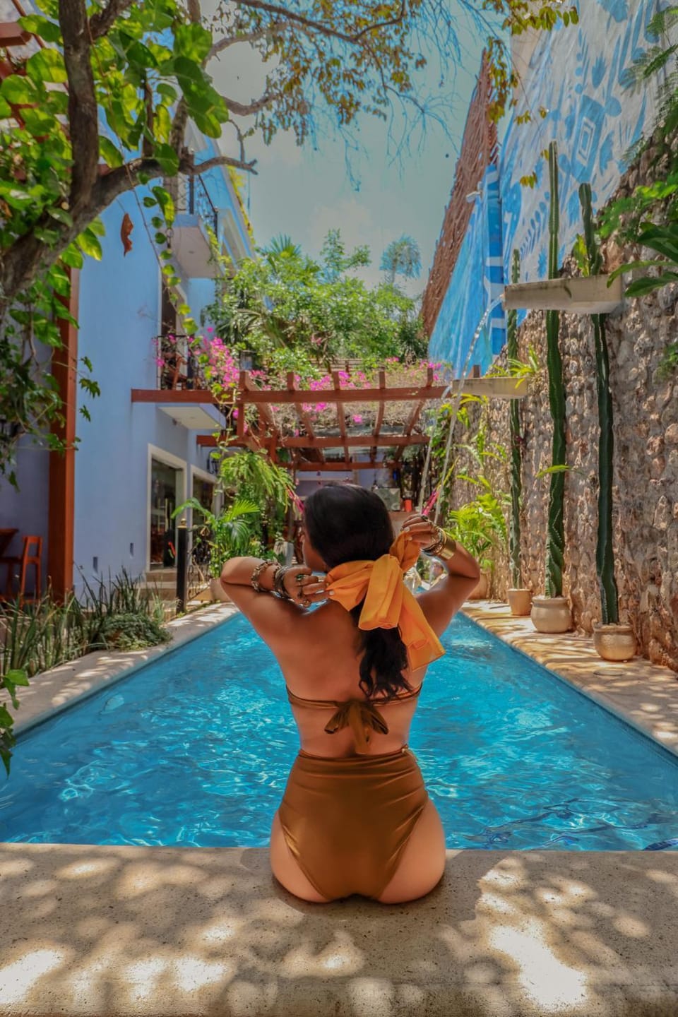 Garden, Swimming pool, Swimming pool