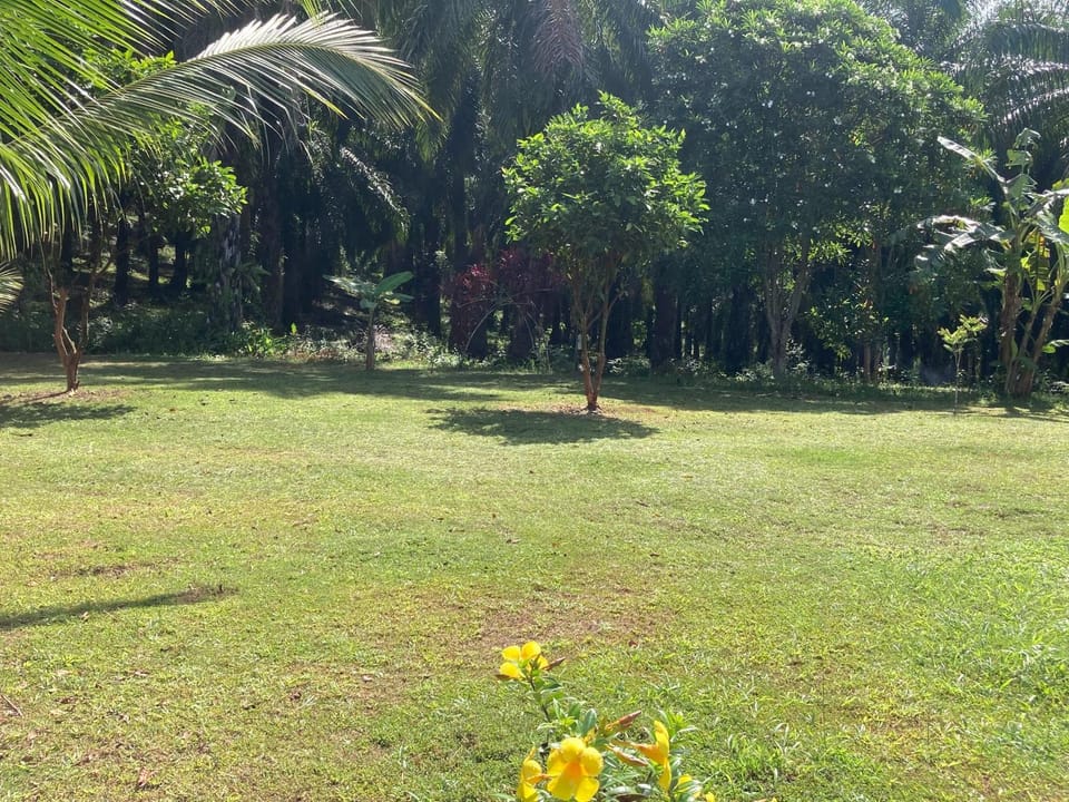 Khao Sok Evergreen House Campground/ 
RV Resort in Khlong Sok