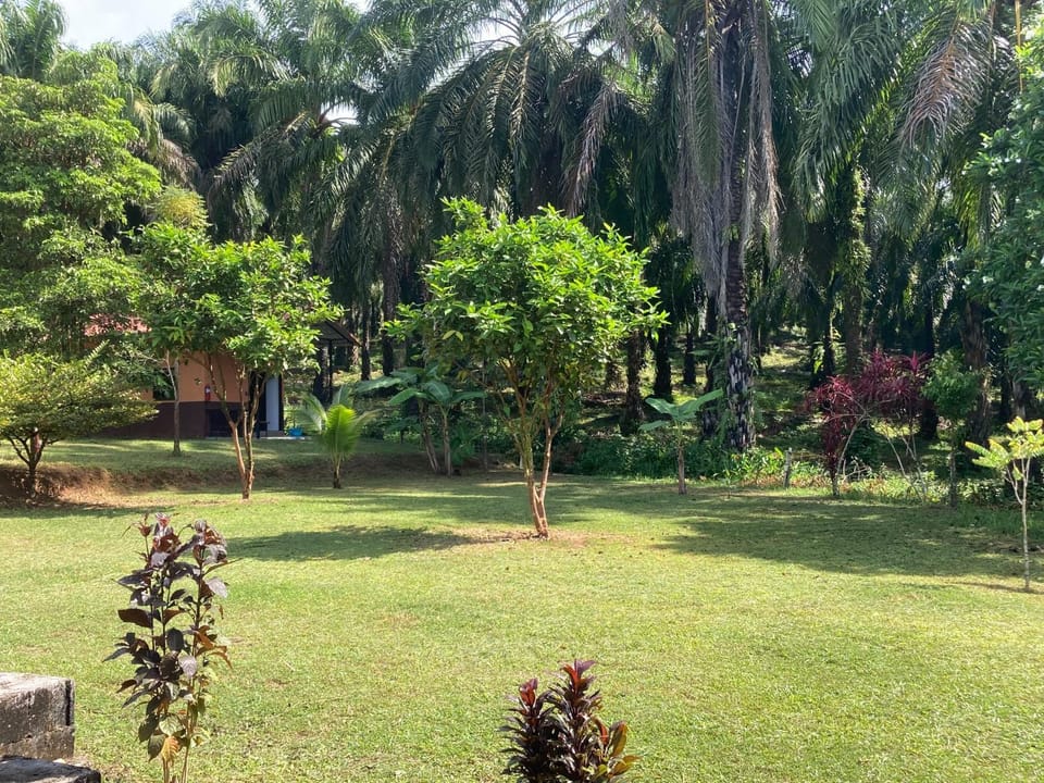 Khao Sok Evergreen House Campground/ 
RV Resort in Khlong Sok