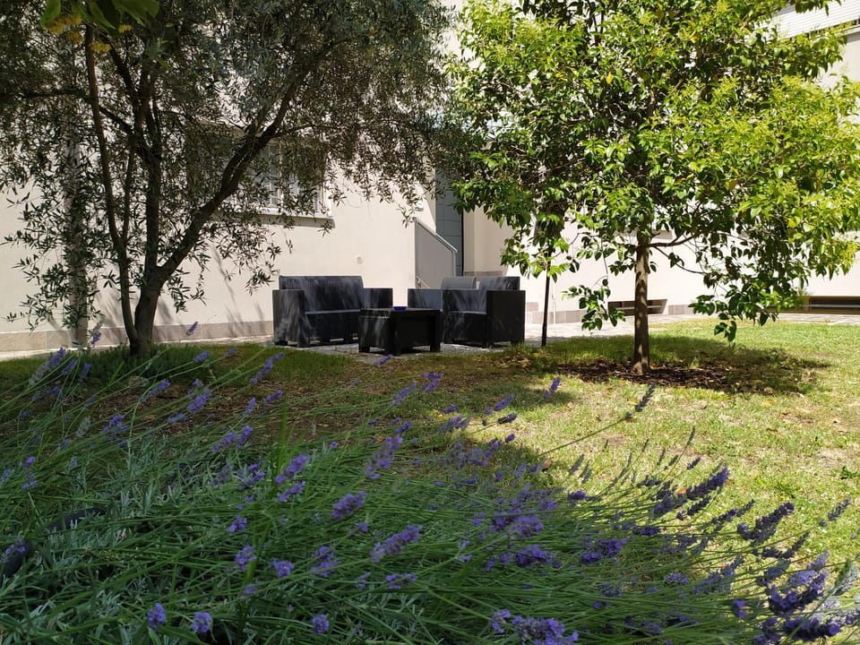 Property building, Garden