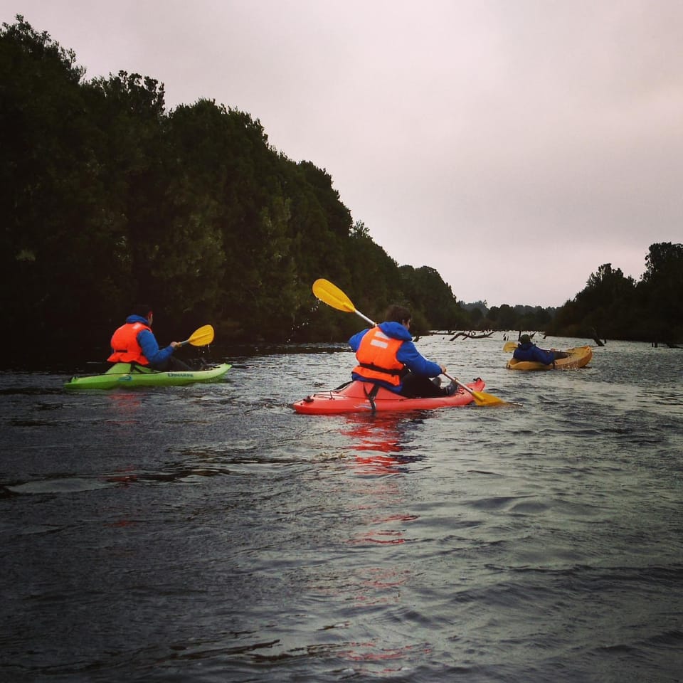 Activities