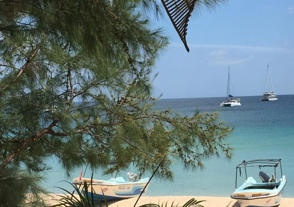 Restaurant/places to eat, Beach, Sea view