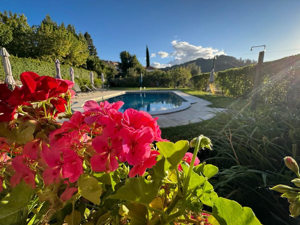 Casa De Fatauncos Bed and Breakfast in Portugal