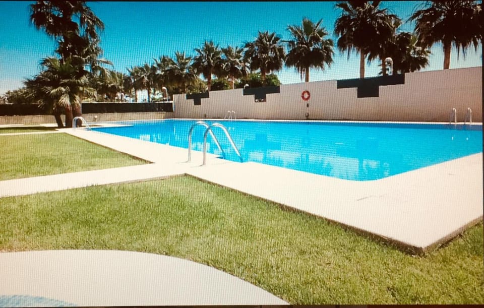 Swimming pool, Swimming pool