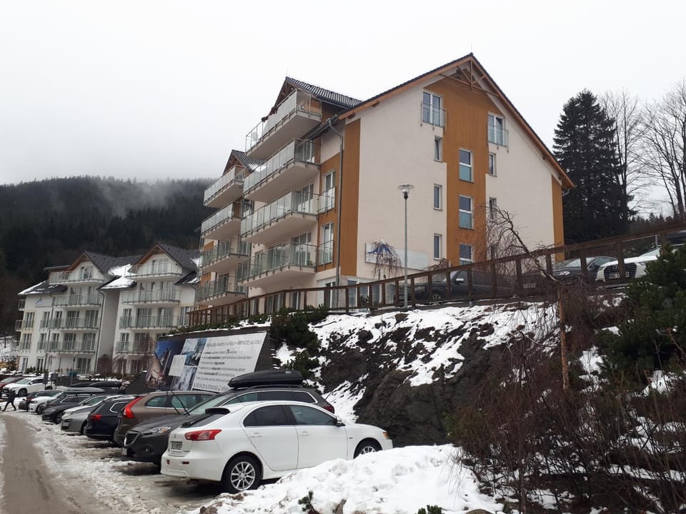 Apartament 21 Czarna Góra Apartment in Lower Silesian Voivodeship