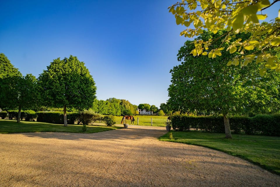 Natural landscape, Garden