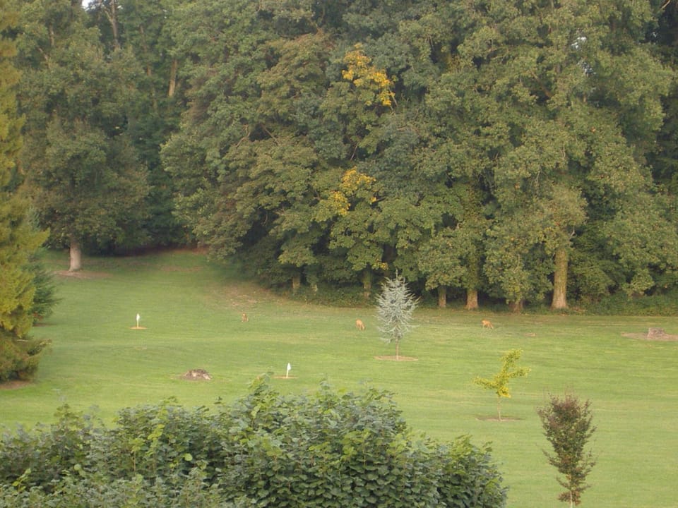 Golfcourse