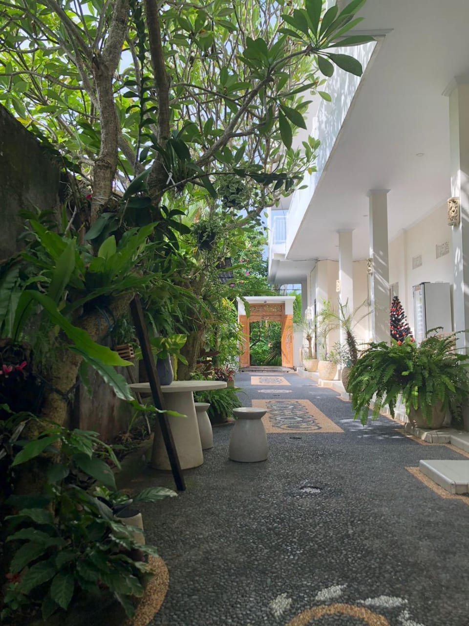 Property building, Spring, Day, Garden, Garden view