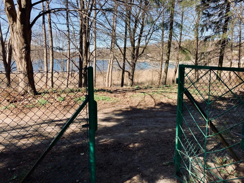 Lake view, Lake view